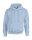 Heavy Blend Hooded Sweatshirt [Light Blue, XL]