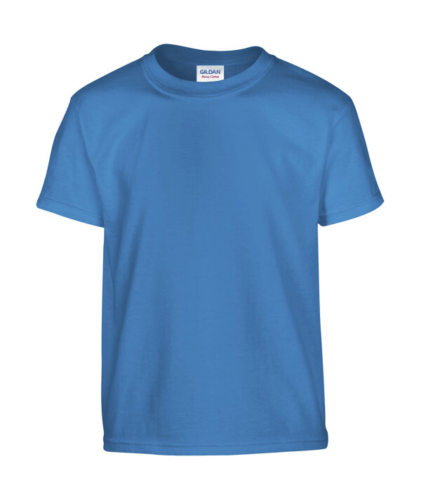 Heavy Cotton™ Youth T- Shirt [Sapphire, 170]