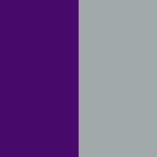 Purple / Heather Grey